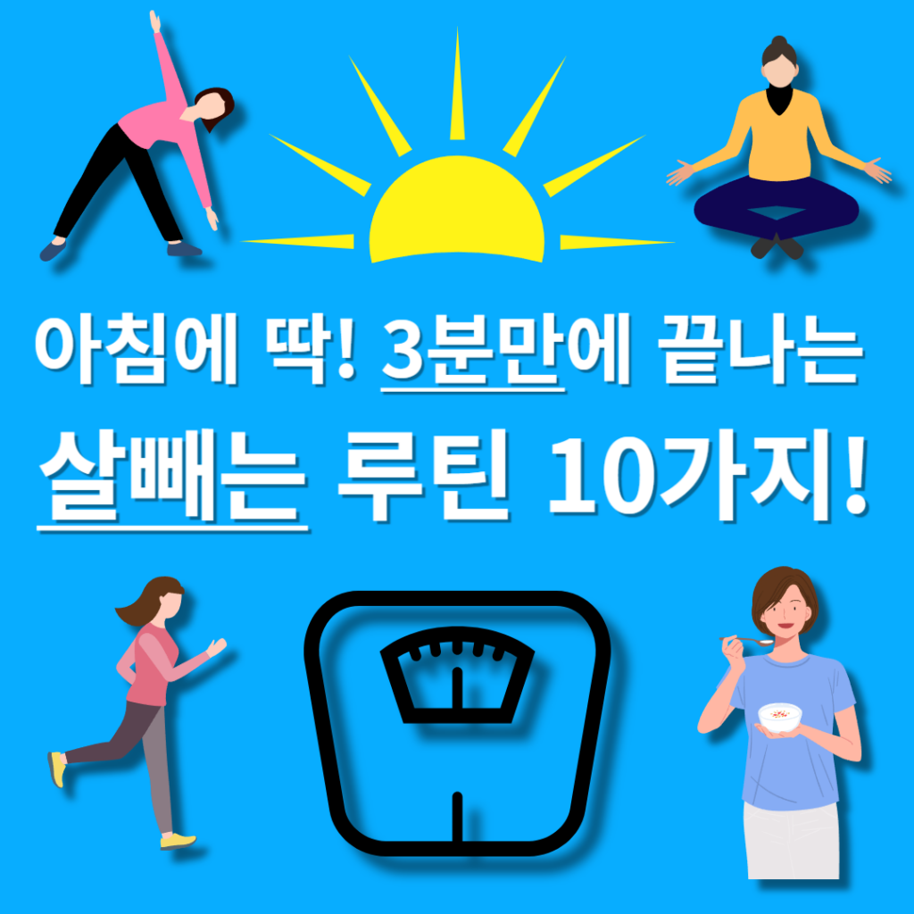 뱃살빼는법!