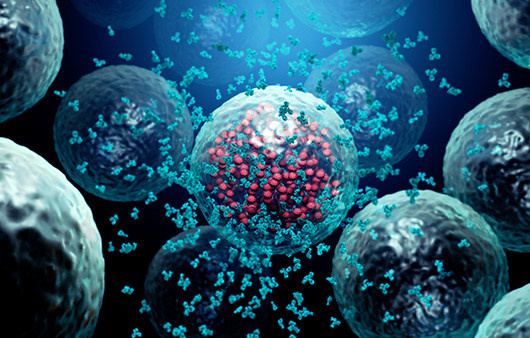 쏜 리서치 모듀 케어