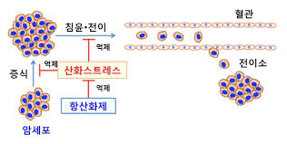 쏜 리서치 모듀 케어